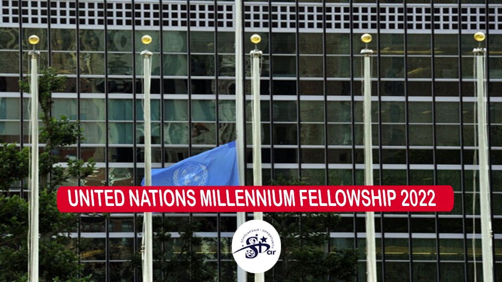 Read more about the article UNITED NATIONS MILLENNIUM FELLOWSHIP 2022