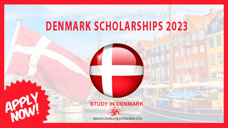 phd scholarship in denmark 2023