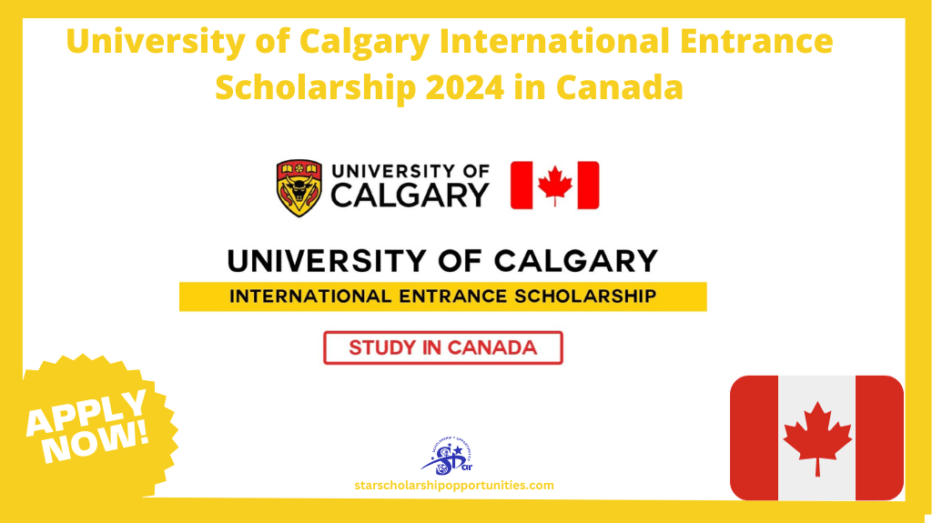 Read more about the article University of Calgary International Entrance Scholarship 2024 in Canada