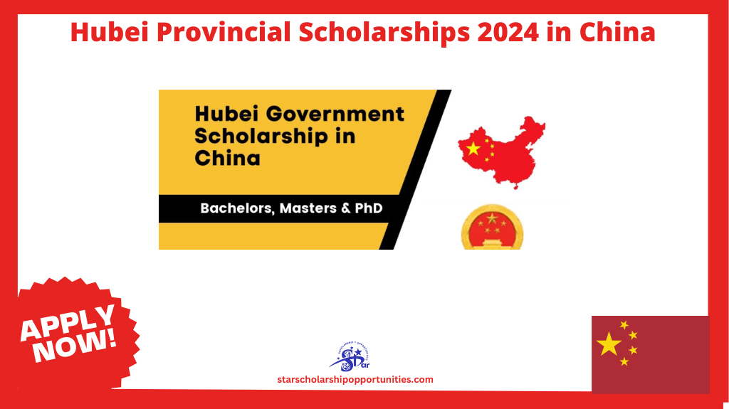 Read more about the article Hubei Provincial Scholarships 2024 in China